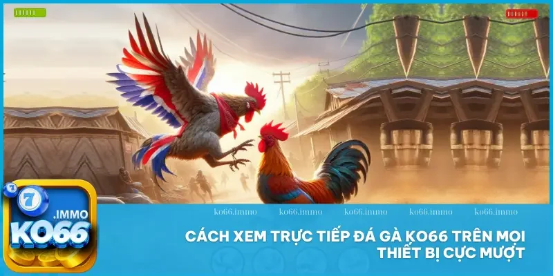 Đá gà 2 Cách xem trực tiếp đá gà KO66 trên mọi thiết bị cực mượt