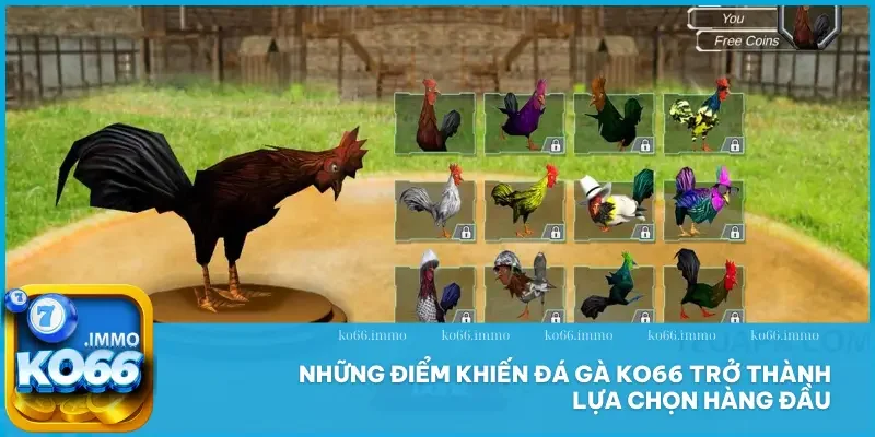 Đá gà 1 Những điểm khiến đá gà KO66 trở thành lựa chọn hàng đầu cho người mới