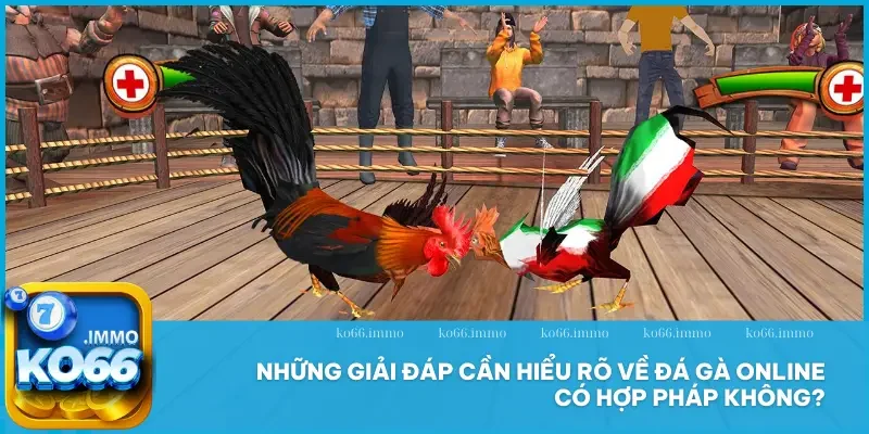 Đá gà 3 Những giải đáp cần hiểu rõ về đá gà online có hợp pháp không?