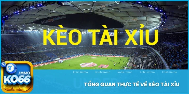 Kèo Tài Xỉu - Luật Chơi, Các Loại Kèo Kèm Cách Soi Chuẩn 2 Tổng quan thực tế về kèo tài xỉu